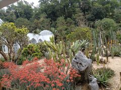 -深圳仙湖植物园