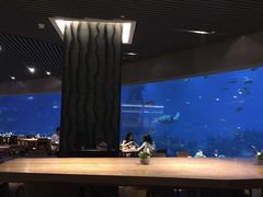 -海棠湾洲际-涛·海底餐厅·美人鱼·自助餐·海底隧道
