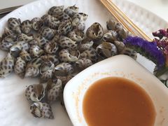 -南庄酒家·海鲜粤菜·25年老字号(环城南路店)