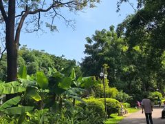 -晓港公园