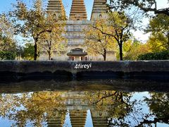 -北京石刻艺术博物馆(五塔寺)