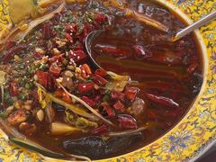 -陶缘一号·四季缘·老字号顺德菜·户外婚礼家宴(西滘店)