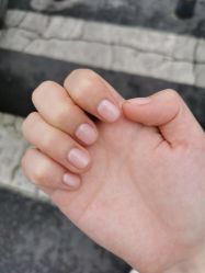 -ALNL清莲爱丽