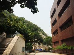 iphone_upload_pic-香港大学