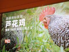 -俭寨大盘鸡·缸子肉·小公鸡·新疆菜(云通店)