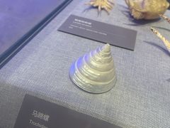 -中国（海南）南海博物馆