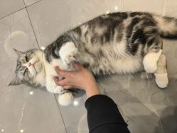 -倩极·精研痘敏肌管理