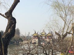 -扬州东关街文昌阁桔子水晶酒店