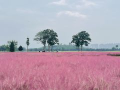 -汉长安城未央宫国家考古遗址公园