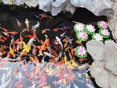 -西林禅寺