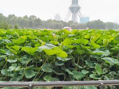 -裕华世纪公园