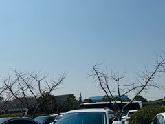 -上海四季花港-停车场