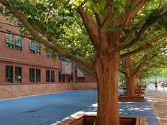 -北京市海淀外国语实验学校