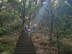 -梧桐山风景名胜区