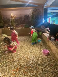 -造物庄园 萌宠纪(苏州湾歌林公园店)