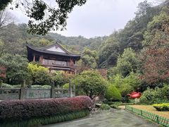 -十八棵（老龙井）御茶园(老龙井店)