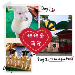 -萌宠亲子动物乐园(槐房万达店)