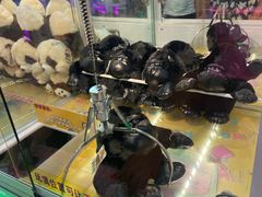 -PAWTOY爪e玩偶店(天兴罗斯福店)