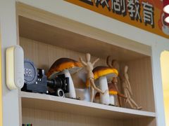 -猴有戏教育戏剧·音乐剧·主持口才·演讲朗诵辩论(环球港华师大校区)