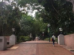 -九龙公园