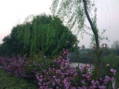 -西安汉城湖景区