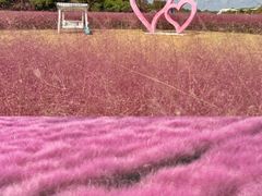 -嘉北郊野公园