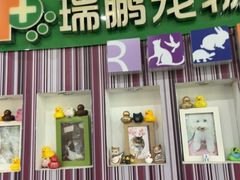 -瑞鹏·疫苗·绝育·宠物医院(金沙洲店)