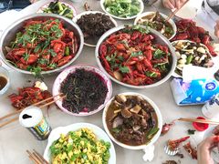 -同銮特种养殖场·龙虾垂钓