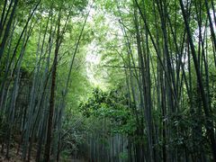 -敬亭山风景名胜区