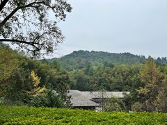 景点-滴水洞景区