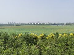 -天津东丽湖风景区