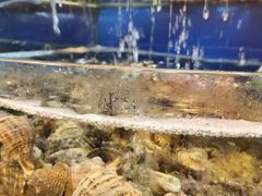 -沿海渔家院海鲜烧烤·东北菜(东戴河店)