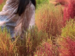 -汉长安城未央宫国家考古遗址公园