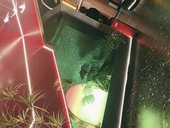 -鼎原力量东北吊炉烧烤(临河街店)