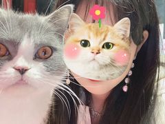 -猫色咖啡·猫咖
