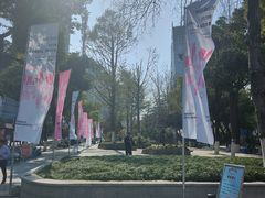 -西北湖绿化广场