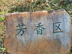 -广州神农草堂中医药博物馆