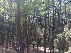 -帽儿山国家森林公园