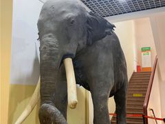 -国家自然博物馆