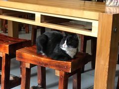 -新疆狼爷烤肉(宋庄店)