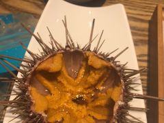 -潮庭·大连海鲜·炭火烧烤·扇贝王(大连店)
