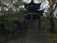 -千年银杏谷文化旅游区