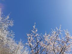 -北京凤凰岭