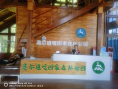 -莫尔道嘎国家森林公园