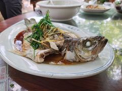 蒸鲈鱼-同心泥烩鸡