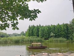 -溱湖国家湿地公园