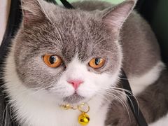 -美迦爱-牙专科·兔科·骨科诊疗中心(北苑店)