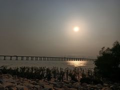 -宝安西湾红树林湿地公园