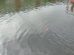 -东湖景区