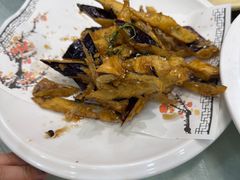 -邵年鸽(杨庄店)